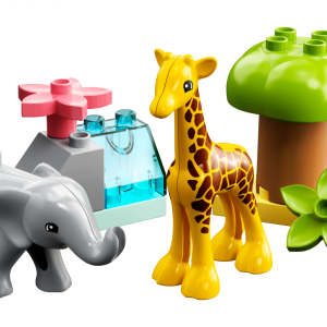 10971 Wild Animals of Africa V29