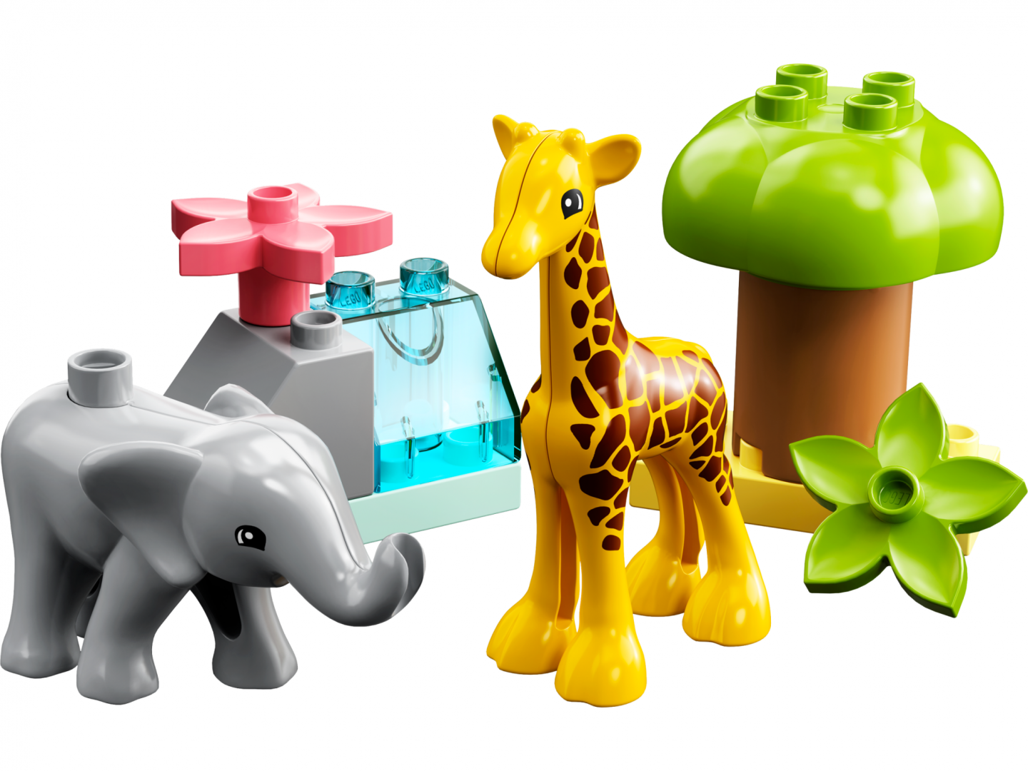 10971 Wild Animals of Africa V29