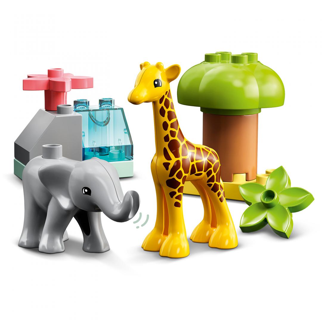 10971 Wild Animals of Africa V29 - imagine 3