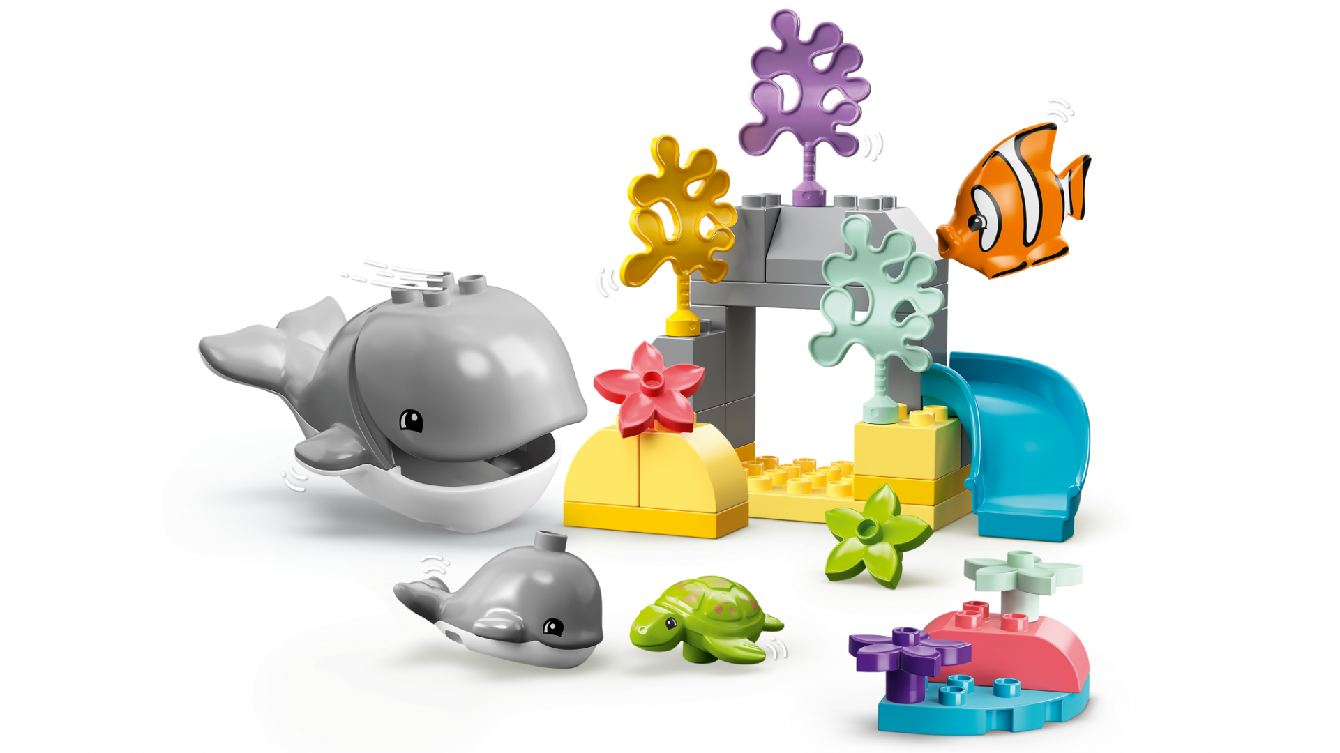 10972 Wild Animals of the Ocean V29